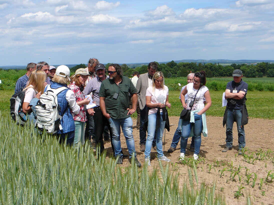 Feldtag in Pommritz - Landwirtschaft - sachsen.de