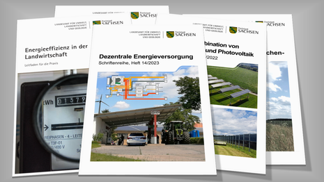 Titelblätter verschiedener Publikationen liegen übereinander gestapelt