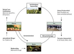 Landwirte bewirtschaften den Boden als wichtiges Glied im