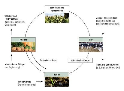 Nährstoffkreislauf