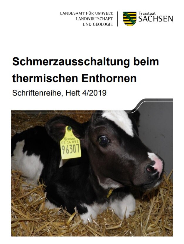 Schmerzausschaltung beim thermischen Enthornen, Schriftenreihe des LfULG, Heft 4/2019