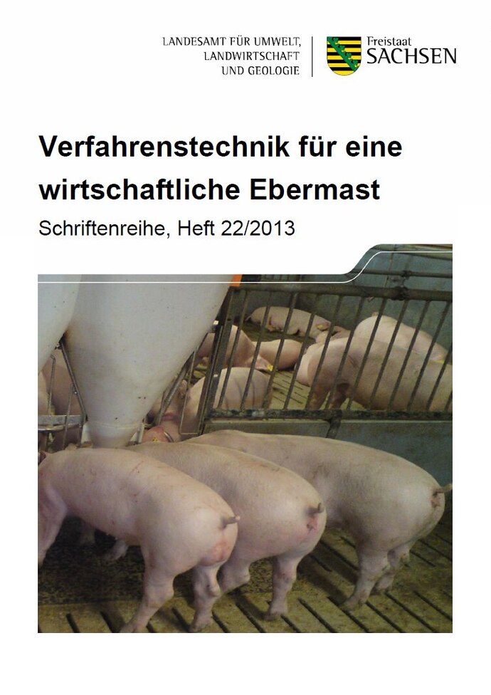 Schriftenreihe Heft 22/2013, Verfahrenstechnik für eine wirtschaftliche Ebermast