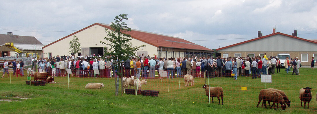 Tag der offenen Tür in Köllitsch. Menschen vor Stallgebäuden.