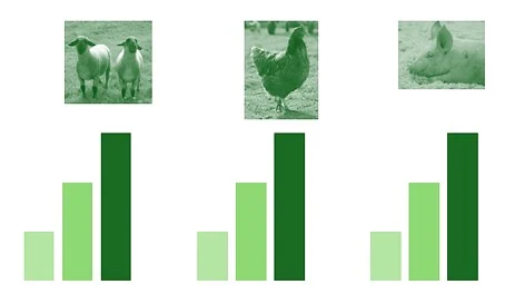 Säulendiagramm Diagramm mit Bildern vom Schaf, Schein und Huhn