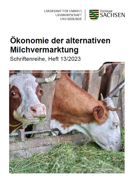 Rinder im Stall
