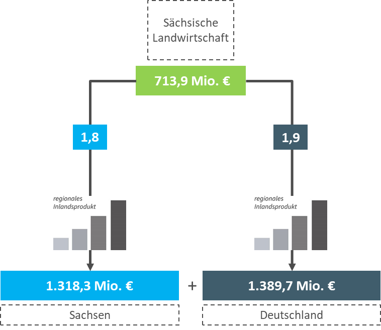 Pro erzeugtem Euro in der sächsischen Landwirtschaft werden zwei weitere Euro in der sächsischen Wirtschaft und zwei Euro in der bundesdeutschen Wirtschaft als Wertschöpfung erzeugt.