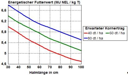 Abbildung 1: Energetischer Futterwert von Getreideganzpflanzen mit unterschiedlicher Halmlänge
