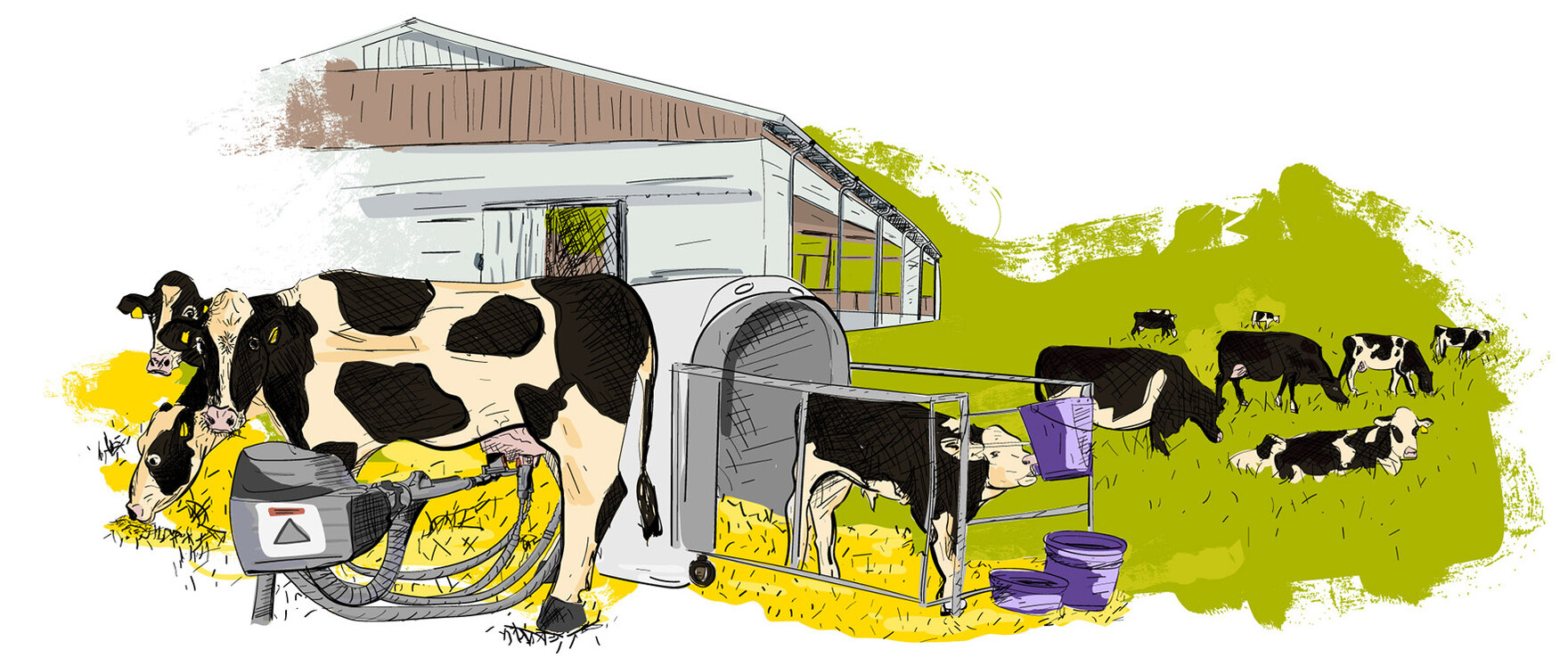 Gezeichnete Illustration zum Themengebiet Stall und Weide