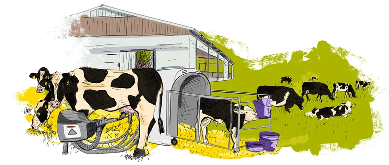 Gezeichnete Illustration zum Themengebiet Stall und Weide