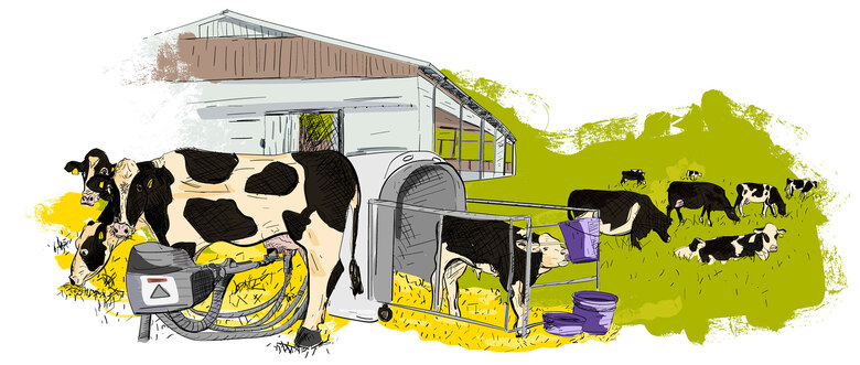 Gezeichnete Illustration zum Themengebiet Stall und Weide