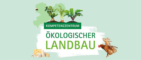 Schrift "Kompetenzzentrum Ökologischer Landbau" auf Pinselstrich., daneben Tiere, Getreide, Obst, Gemüse