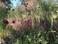 Neunte Landesgartenschau wird 2022 stattfinden Foto: Frau Otto SMUL