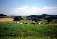 Landwirtschaft in Sachsen